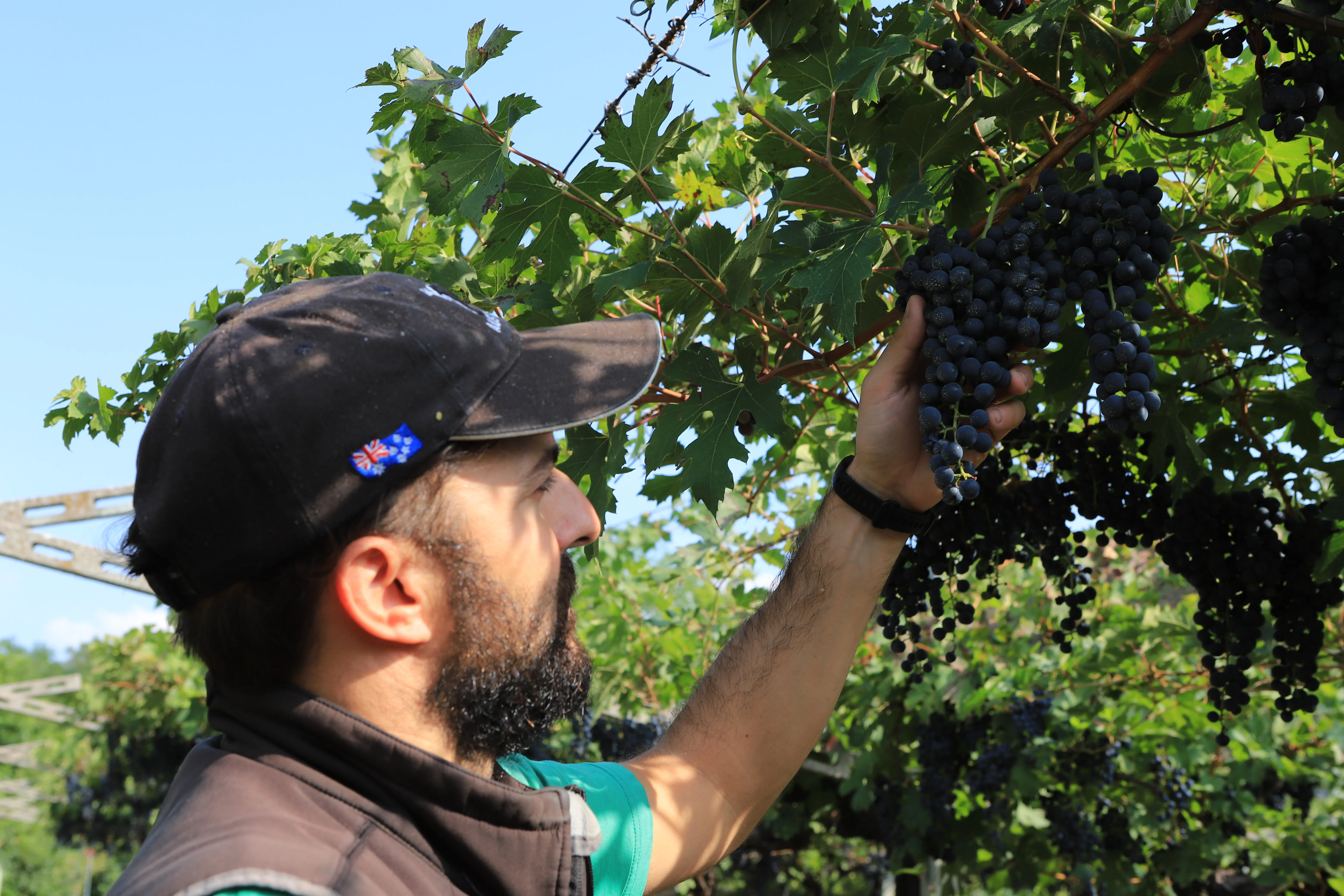 Azienda Agricola nel cuore della Valpolicella