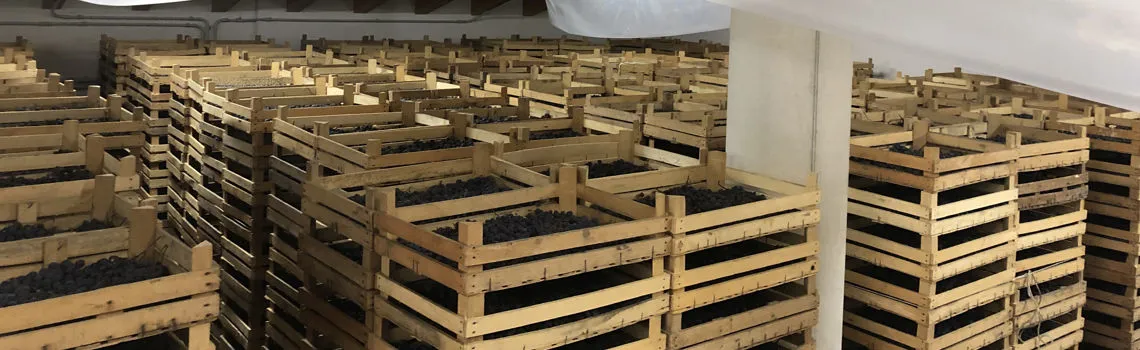 cassette di uve rosse stagionatura appassimento vino valpolicella